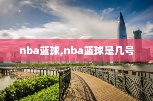 nba篮球,nba篮球是几号