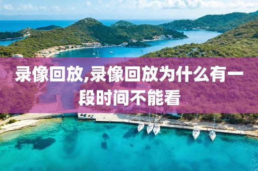 录像回放,录像回放为什么有一段时间不能看