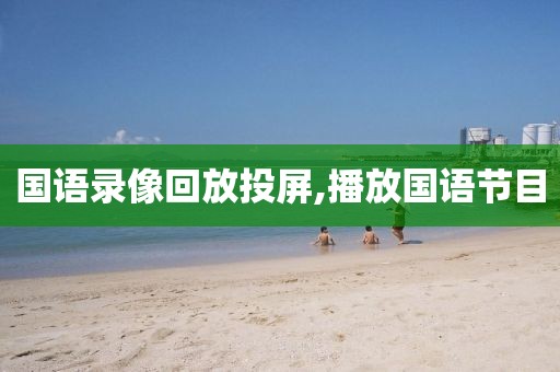 国语录像回放投屏,播放国语节目