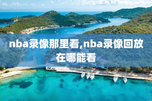 nba录像那里看,nba录像回放在哪能看
