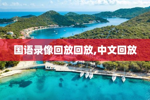 国语录像回放回放,中文回放